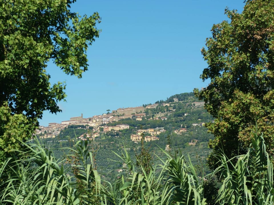 View from Holiday Home [summer]
