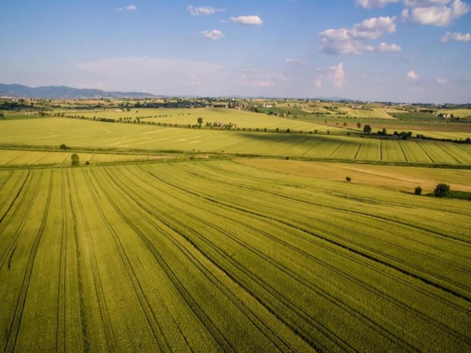 Region [summer] (>5 km)