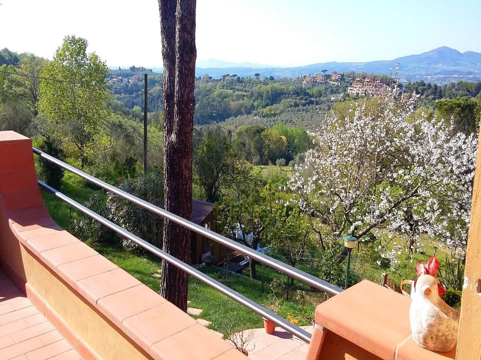 View from Holiday Home [summer]