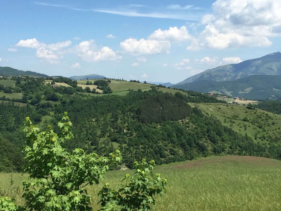 View from Holiday Home [summer]