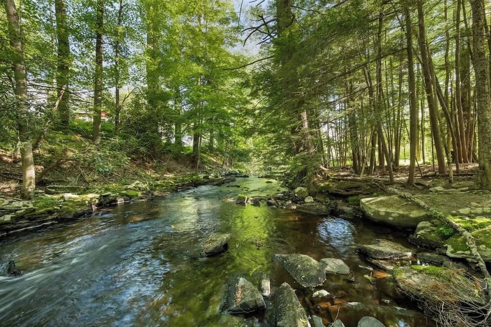 Creek access for beautiful scenery year round.