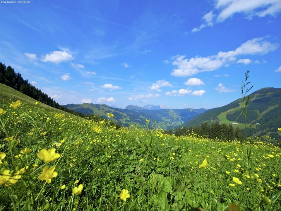 Surroundings [summer] (1-5 km)