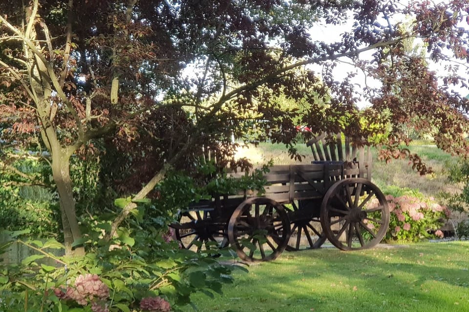 Garden [summer]