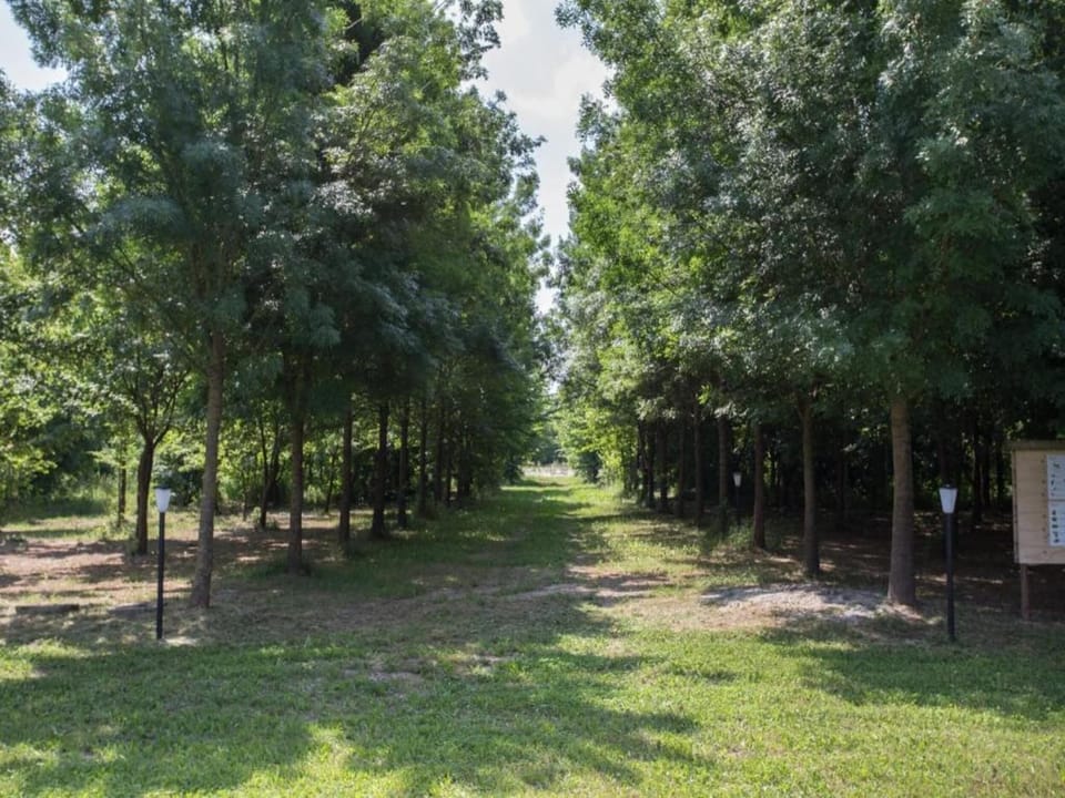 Surroundings [summer] (1-5 km)