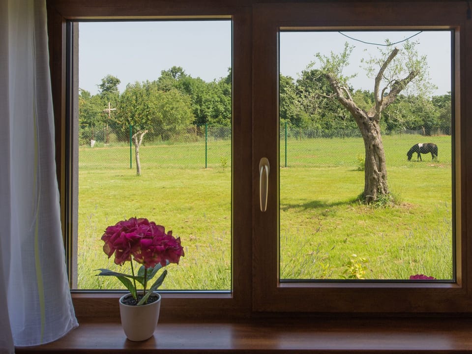 View from Holiday Home [summer]