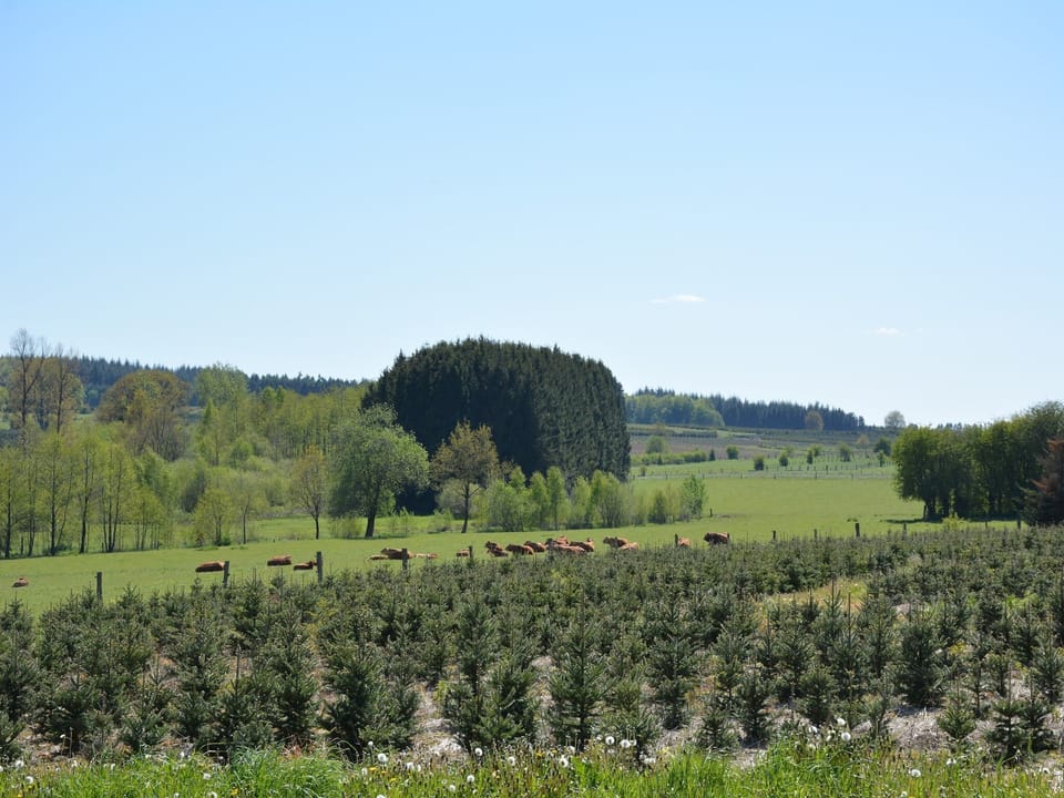 Immediate Surroundings [summer] (<1 km)