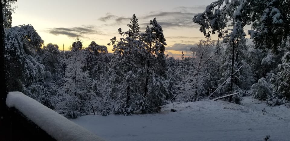 View from property