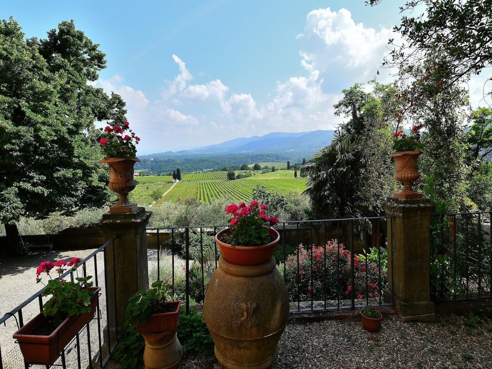 View from Holiday Home [summer]