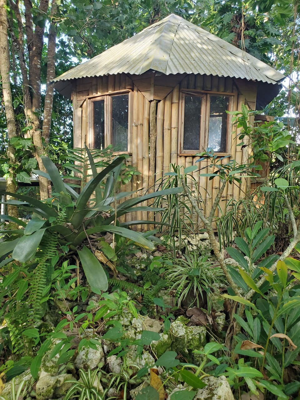 ouside kitchen