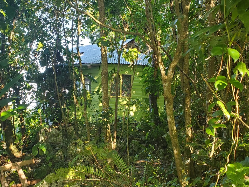 artist cabin gardens