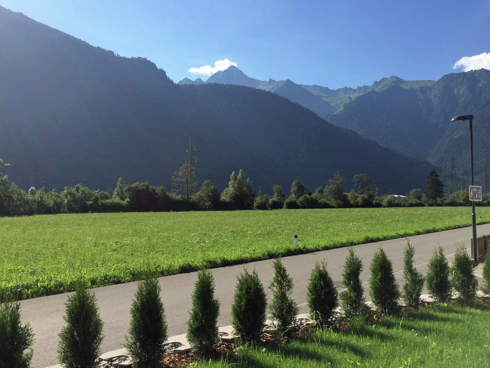 View from Holiday Home [summer]