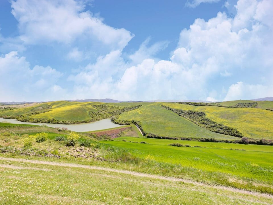 View from Holiday Home [summer]