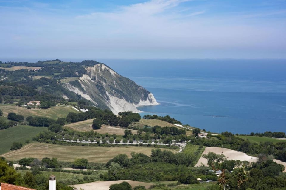 Region [summer] (>5 km)