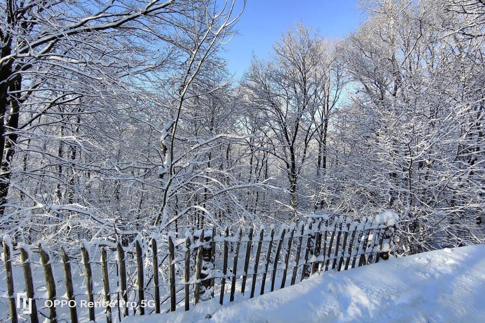 Immediate Surroundings [winter] (<1 km)