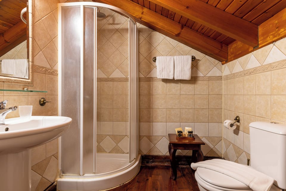 Suite (Top Floor) | Bathroom | Shower, free toiletries, hair dryer, towels