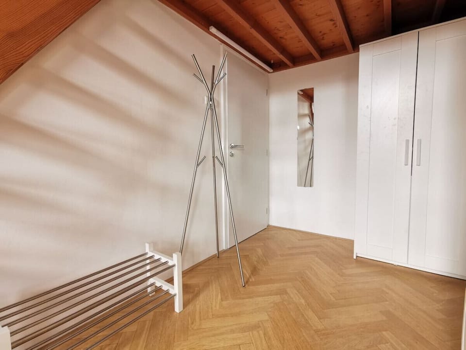 coat hanger and shoe rack