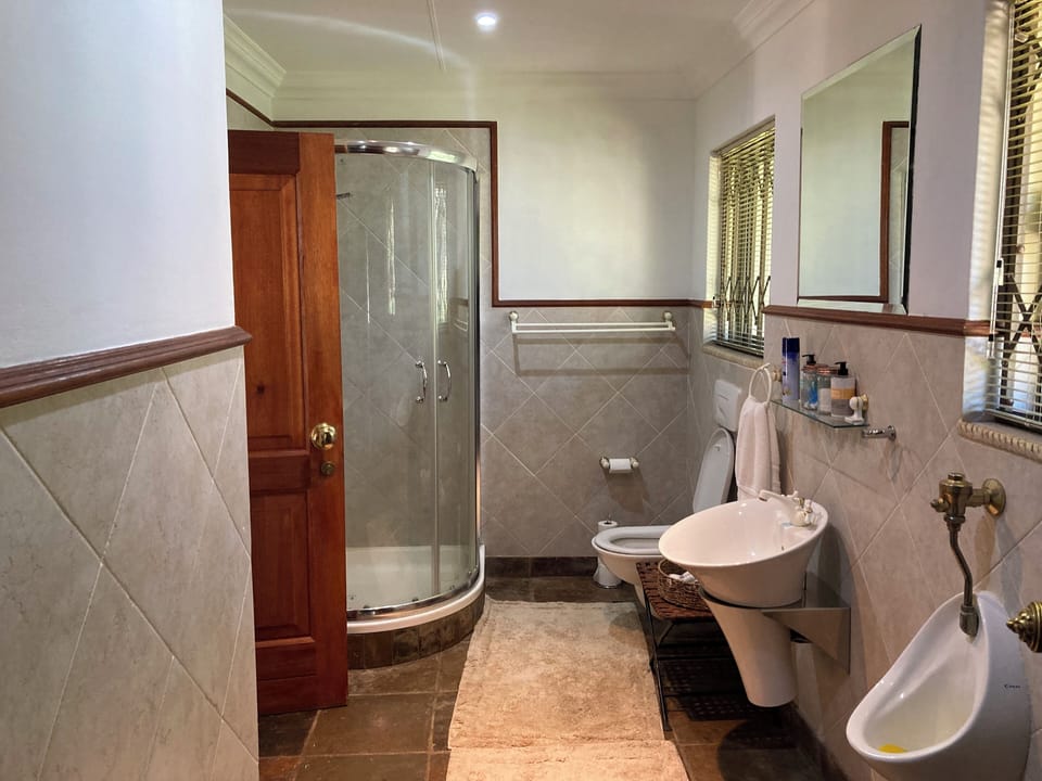 Deluxe Double or Twin Room, Private Bathroom, Pool View | Bathroom | Shower, hair dryer, towels, soap