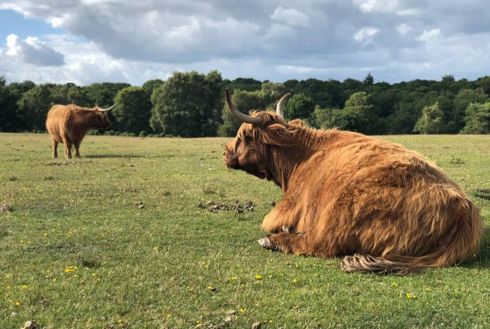 Local nature walks nearby