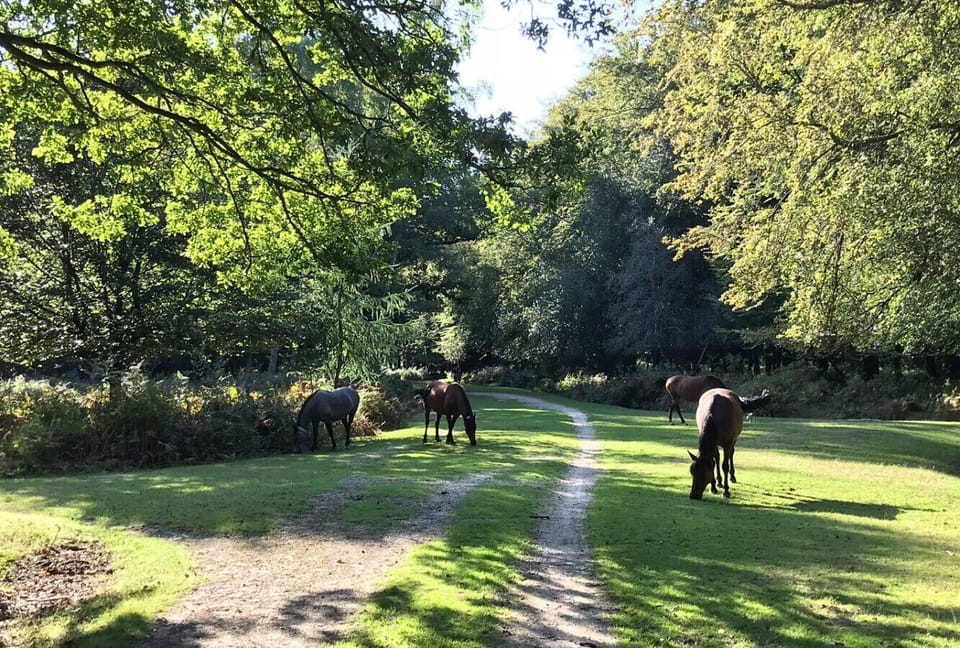 Local nature walks nearby
