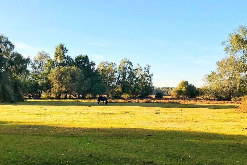 Walks and wildlife just minutes away