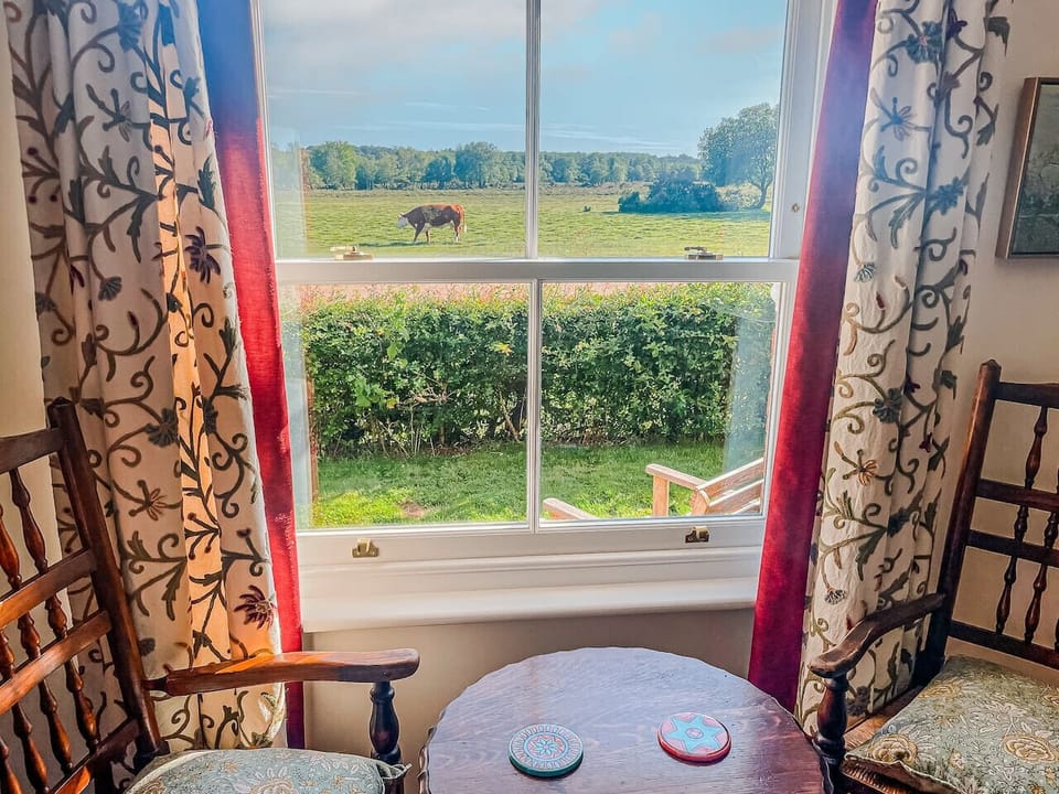 View from the window with ponies passing by