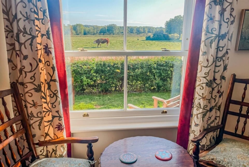 Watch New Forest cattle graze from the living room window.
