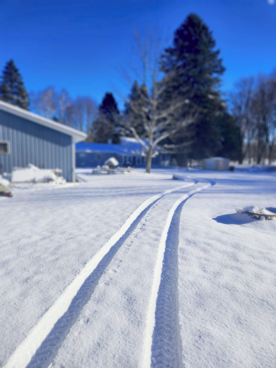 Winter Fun VRBO Cabin 10 Acres Lake Huron PortSanilac Lexington Michigan