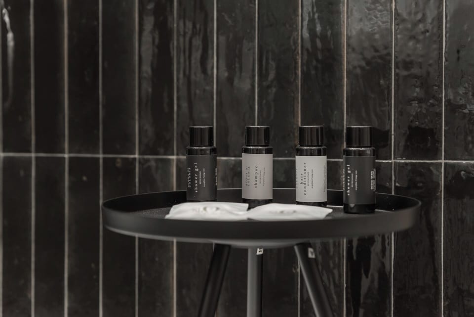 Deluxe Double or Twin Room | Bathroom | Shower, free toiletries, hair dryer, slippers