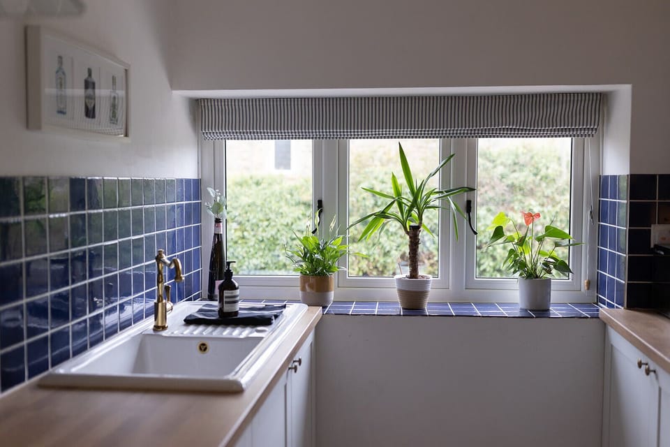 c23577f6-7291-4b70-9f2d-fea956af5b7f