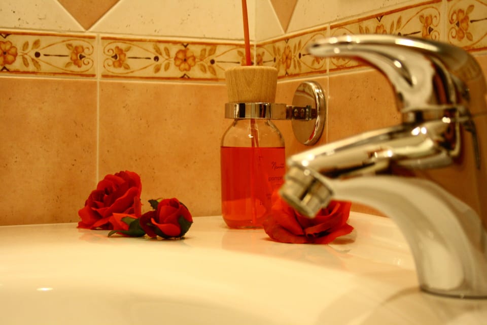 Shower, free toiletries, hair dryer, slippers