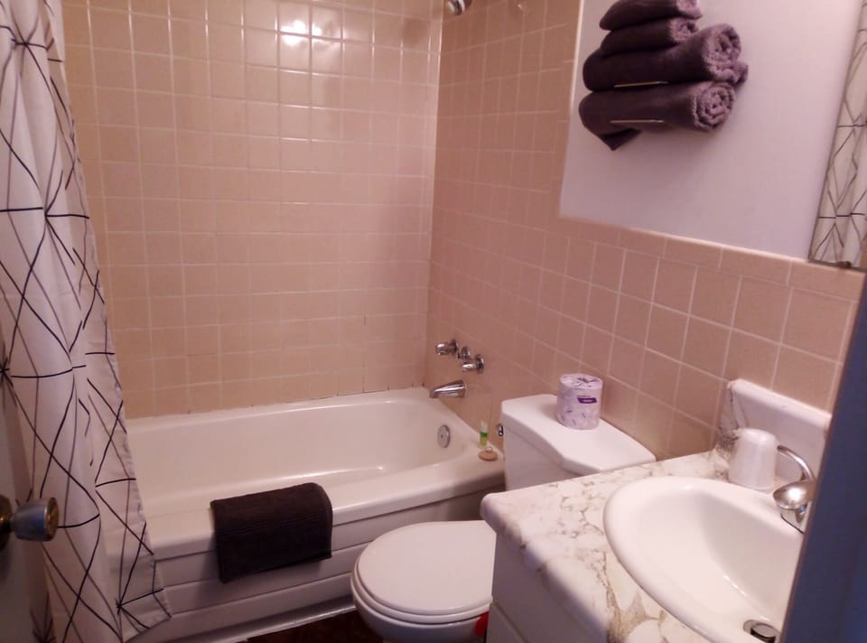 Standard Double Room | Bathroom | Hair dryer, towels, soap, shampoo