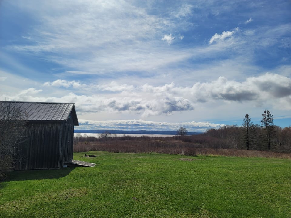 Springtime Sky