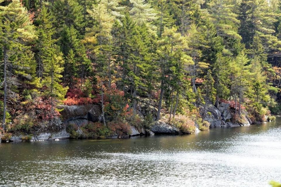 Our swimming hole's rocky shoreline is lots of fun to explore.