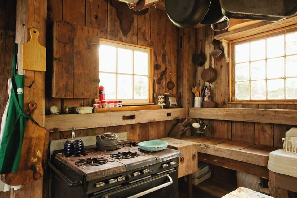 Gas stove  or cook outside on gas grill.