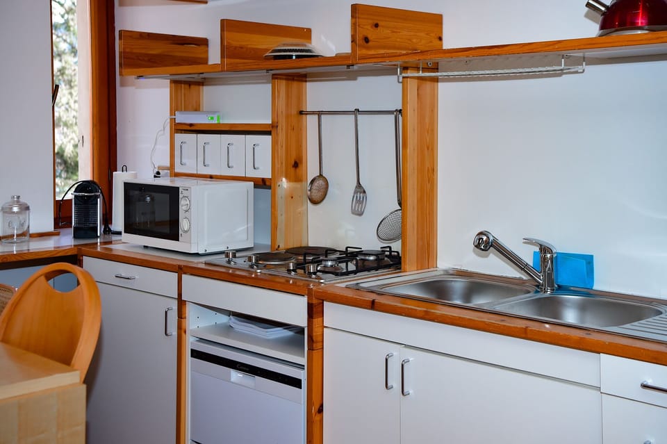 Apartment, Lake View | Private kitchen | Fridge, microwave, stovetop, espresso maker