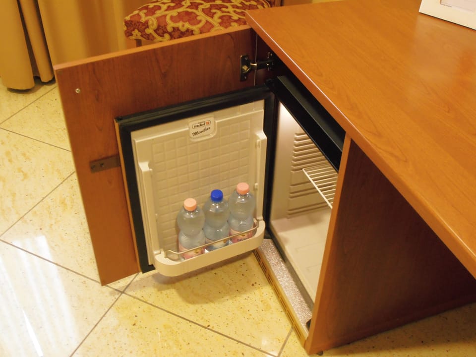 Mini-refrigerator