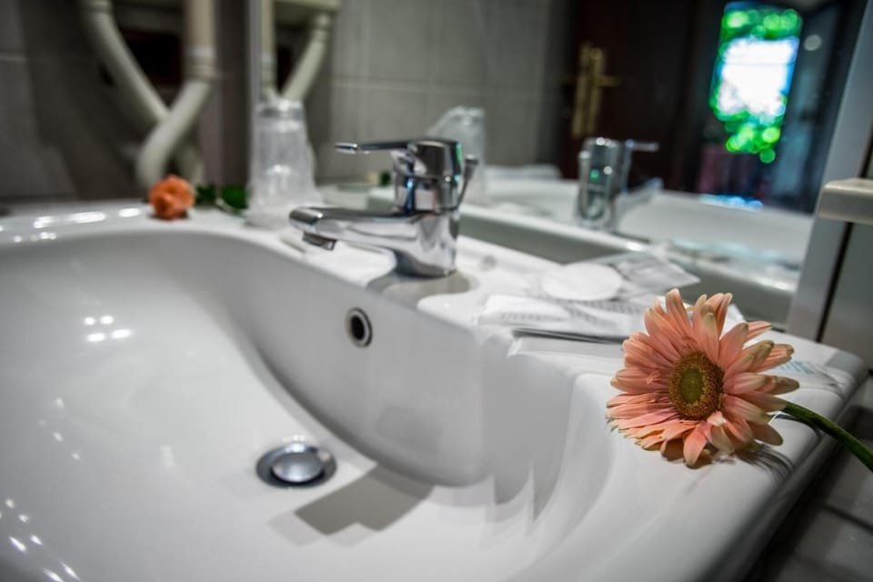 Shower, free toiletries, hair dryer, bathrobes