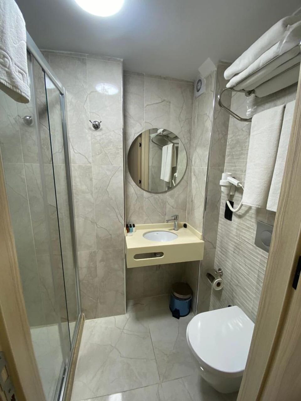 Shower, hair dryer, bidet, towels