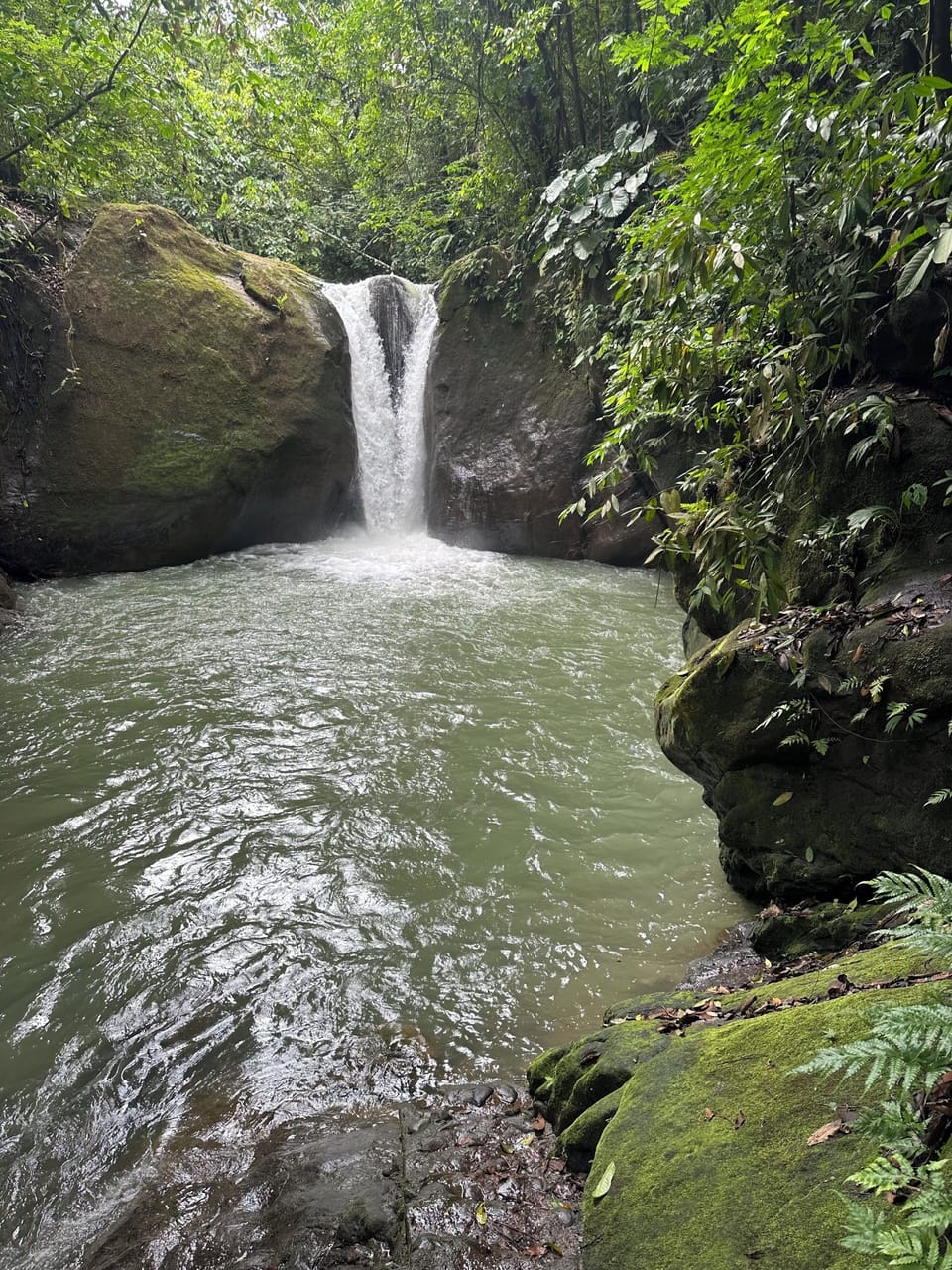 El Pavón