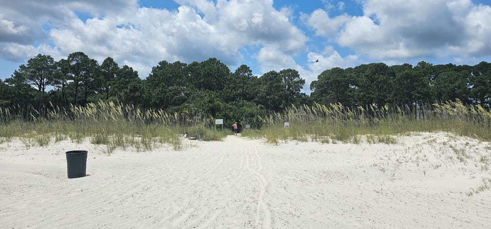 Beautiful Dunes and soft sand!