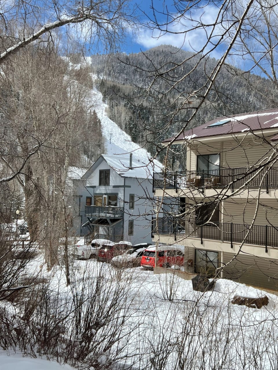 View of Chair 7 and Stumper from living room window 