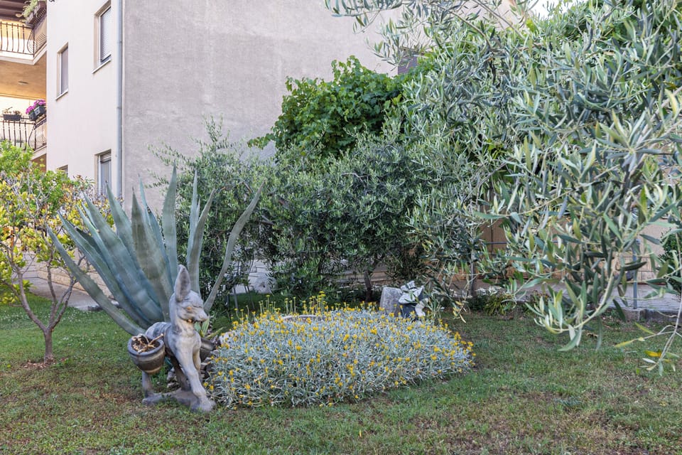 Image 15