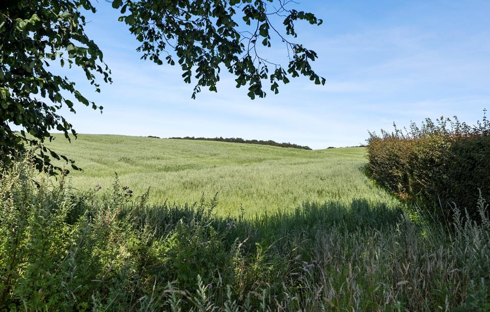 area
