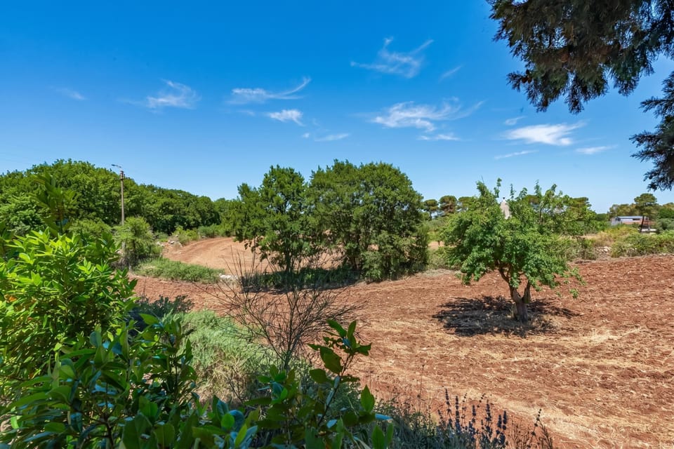 Family Villa, 1 Bedroom, Microwave, Mountainside (Trullo del Bosco In Martina Franca) | Miscellaneous