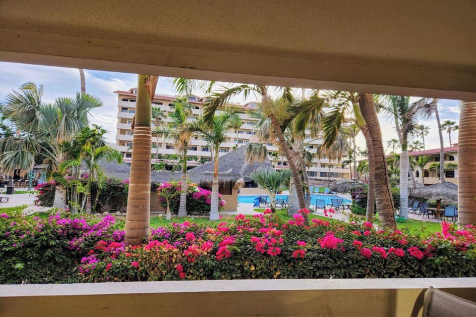 View Of Courtyard From Patio