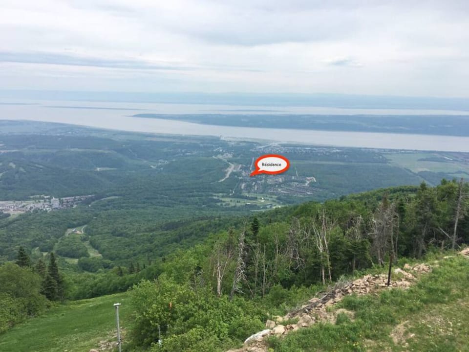 Mountain view 