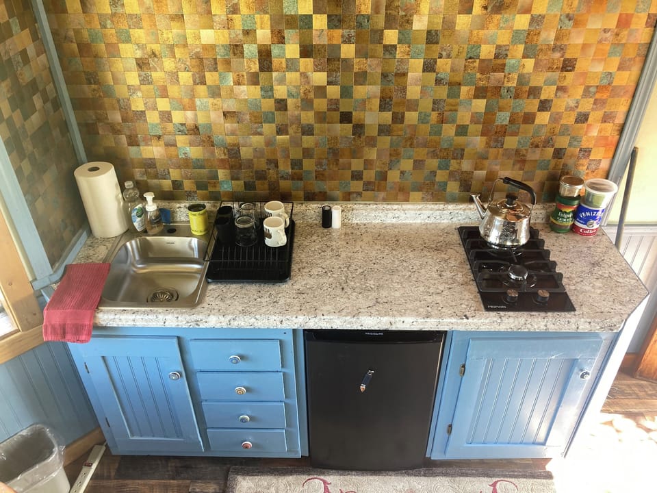 There is a kitchen counter, a mini fridge, and a 2-burner propane cook top.