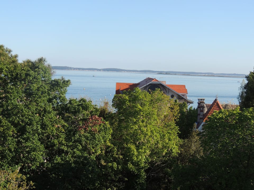 Just a few streets from the beach, pine trees frame this glimpse of Arcachon's calm coastal waters.