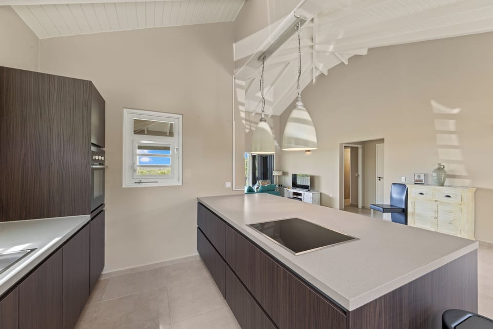 Villa, Patio, Park View | Private kitchen | Coffee/tea maker, dining tables