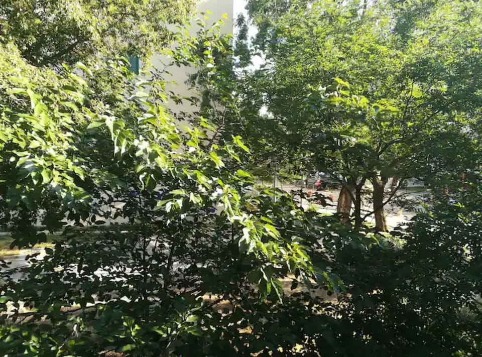 Apartment (Friendly Well Located Family Apartmen) | Exterior